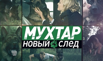 Премьера новых серий "Мухтар. Новый след"